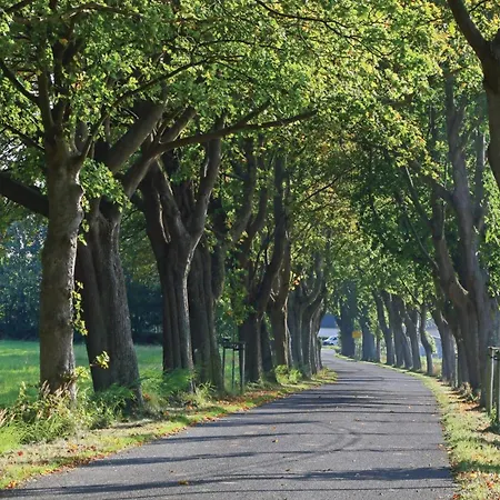 3 Vakantiehuis